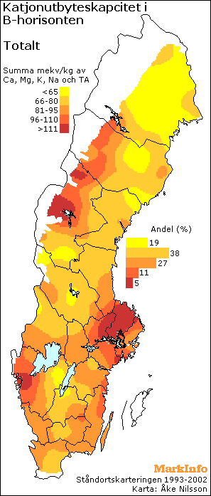 Cation Exchange Capacity in the B-horizon